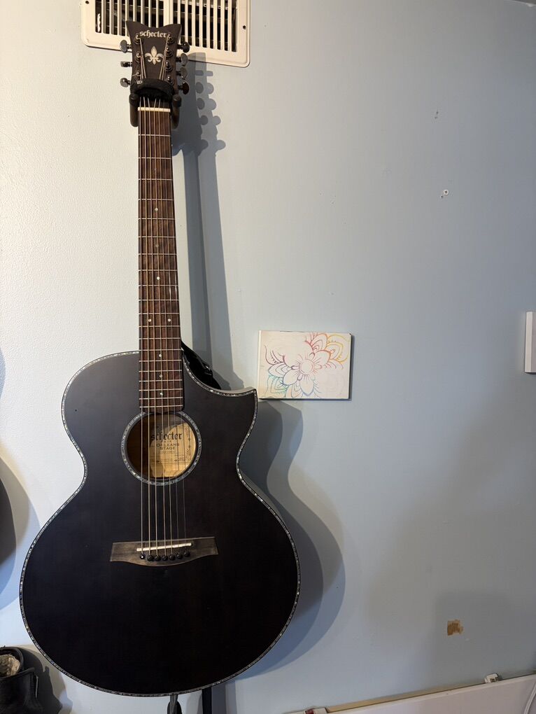 schector 7 String Acoustic!