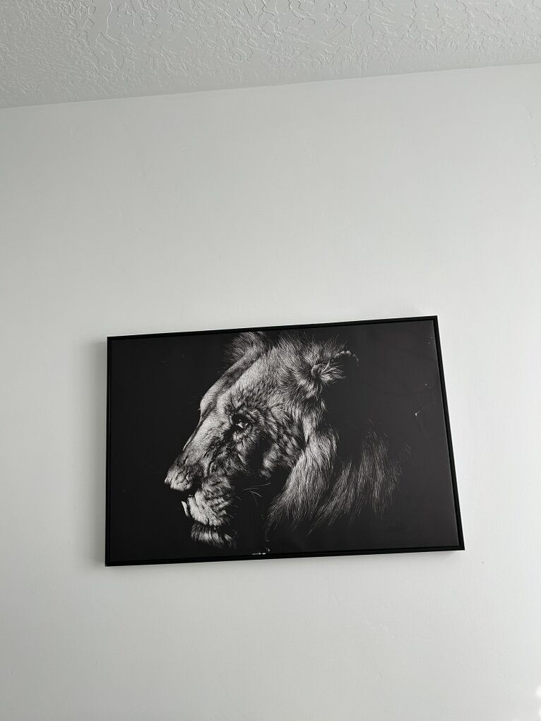 Lion artwork
