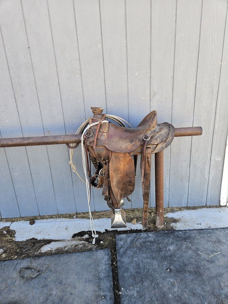 15.5 inch saddle