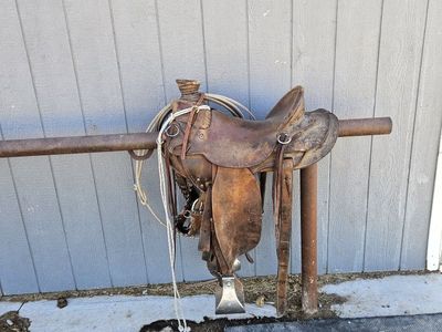 15.5 inch saddle