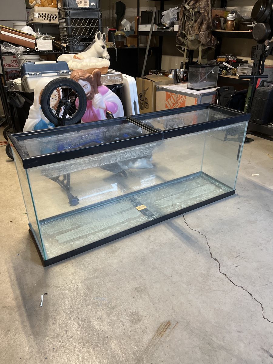 55 Gallon Aquarium