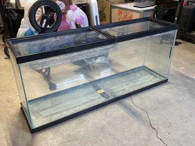55 Gallon Aquarium