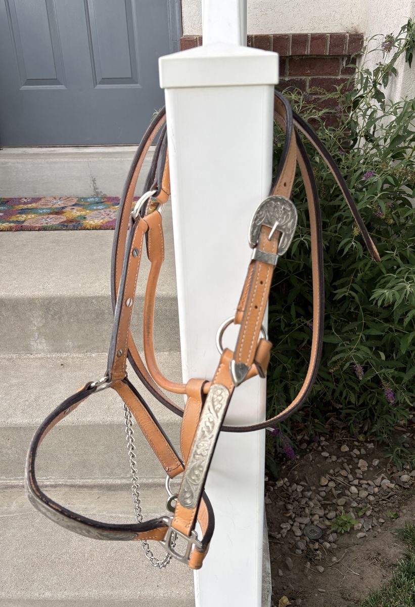Leather Horse Show Halter with Silver and matching Lead
