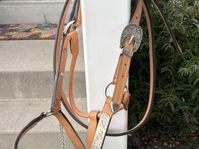 Leather Horse Show Halter with Silver and matching Lead