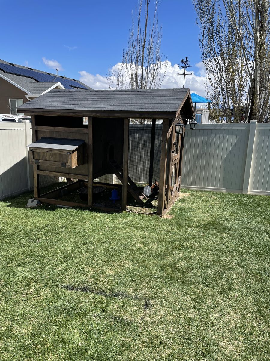 Chicken Coop