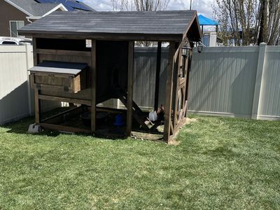 Chicken Coop