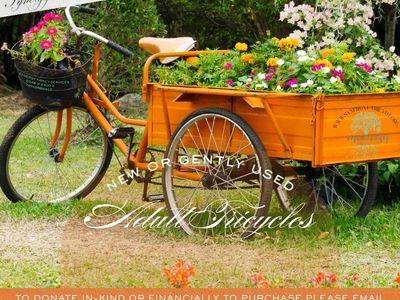 Synergy Family Foundation in Need of Adult Tricycles (New or Gently Used)