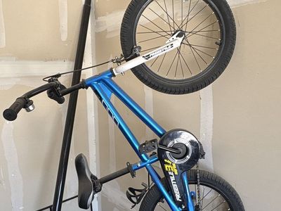 RoyalBaby Freestyle 3-in-1 Kids BMX Bike - Metallic Blue