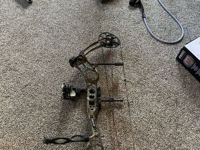 Bear threat bow