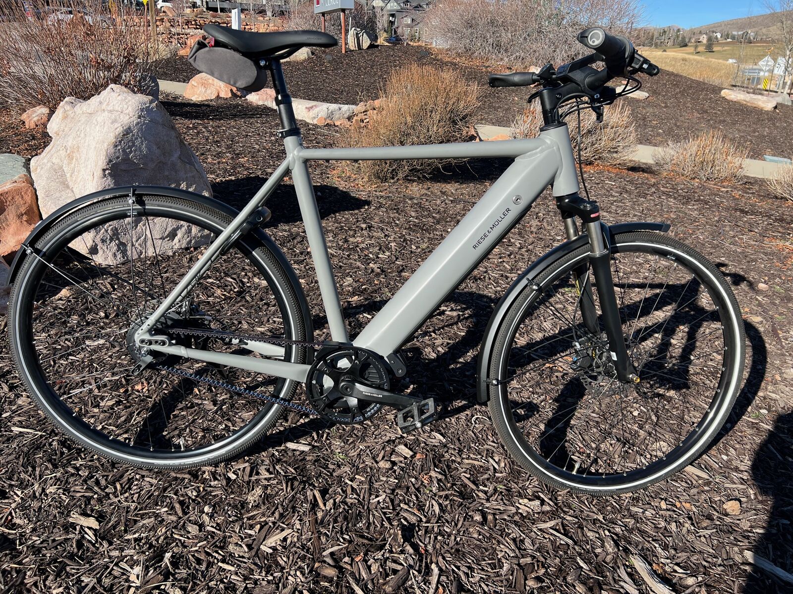 Riese & Müller Roadster Vario Grey Matt 61