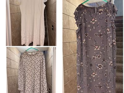 Women’s Size 20 Loft Swing Style Dresses $20 Each