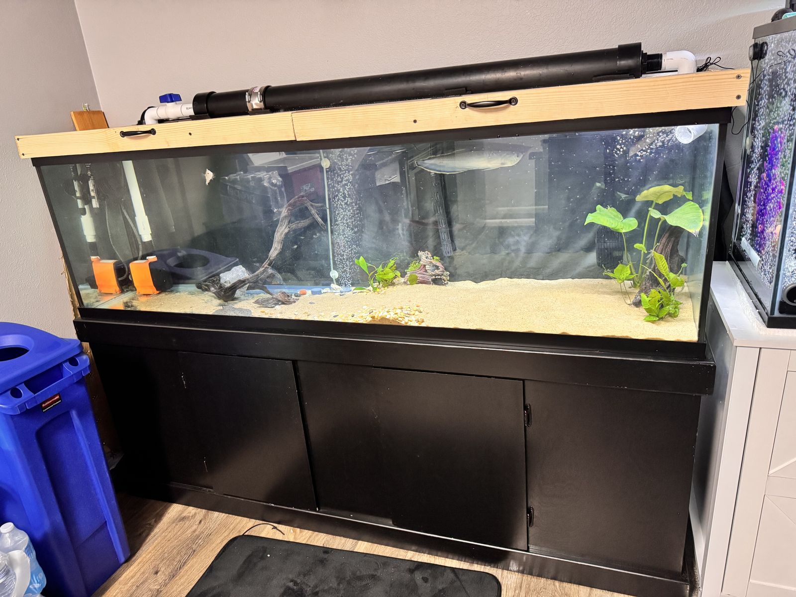 Tank Aquarium 125g Marineland Set(stand+canopy)