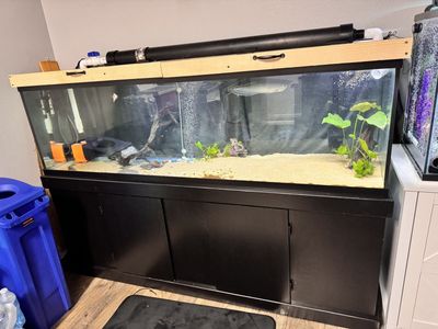 Tank Aquarium 125g Marineland Set(stand+canopy)