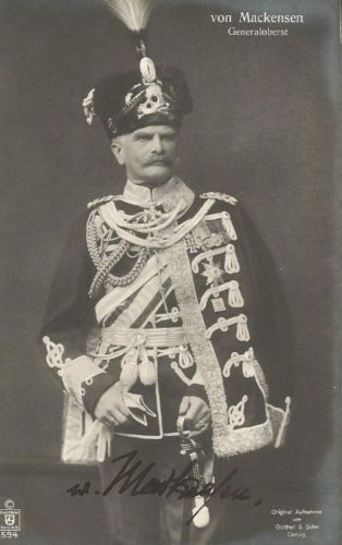 Main image 6