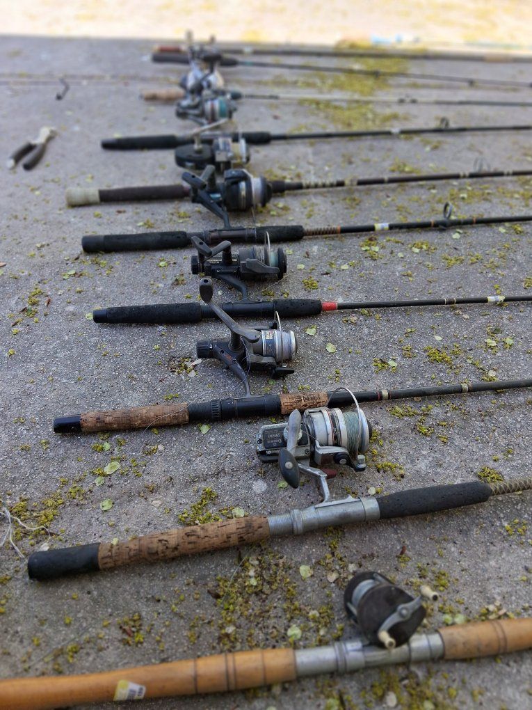 fishing poles for sell cheap today 40 dollars for all need to sell