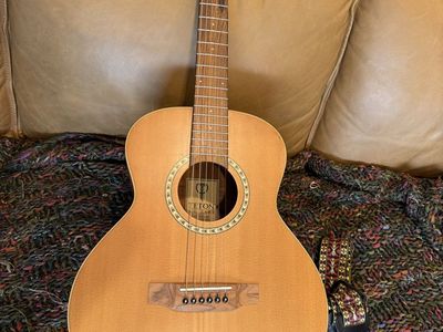 Teton Guitars 3/4 size Guitar
