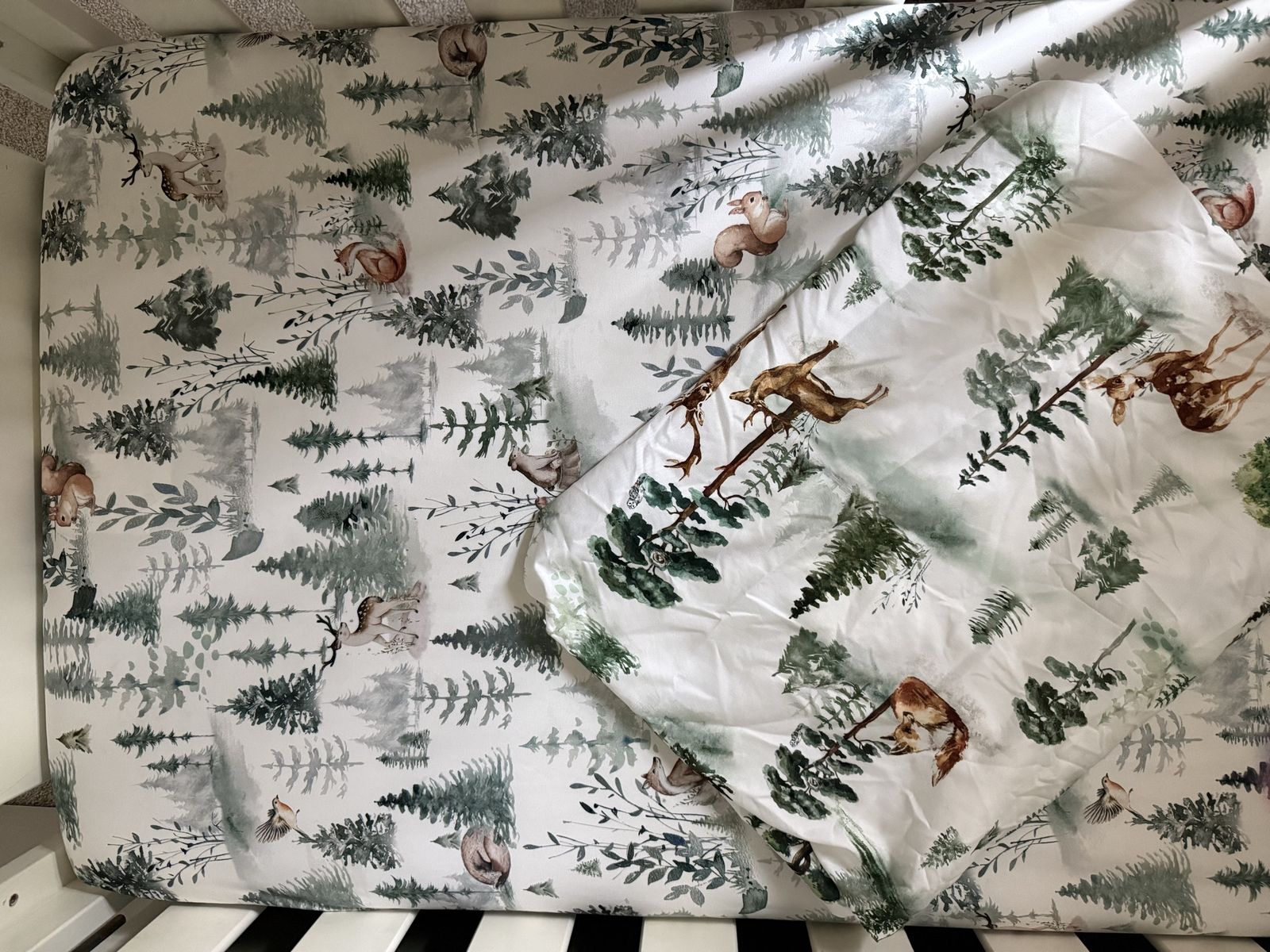 Main image 2