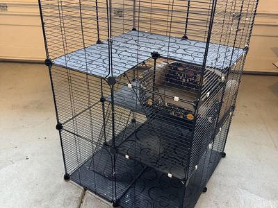 Cat Supplies