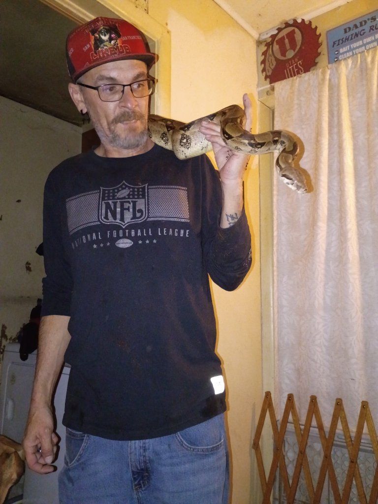 female bci boa 