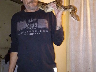 female bci boa