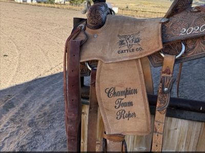 14.5” Trophy Roping Saddles – Great Starter saddle