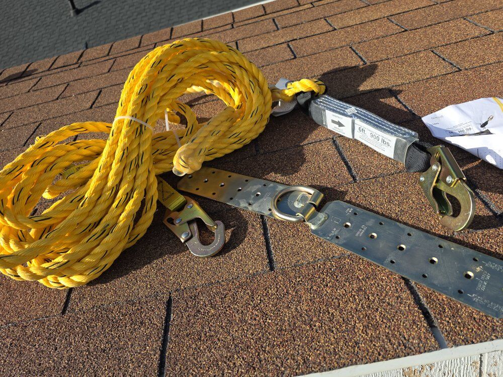 guardian fall protection