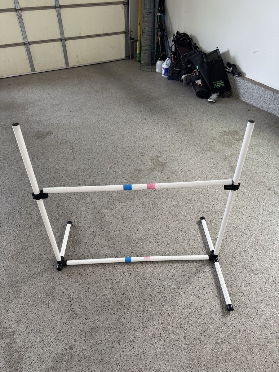 Dog agility bar jump
