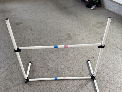 Dog agility bar jump