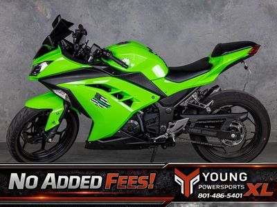 2015 Kawasaki Ninja® 300