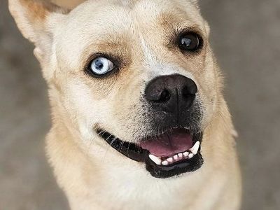 Elliott- Unique Eyed Mix