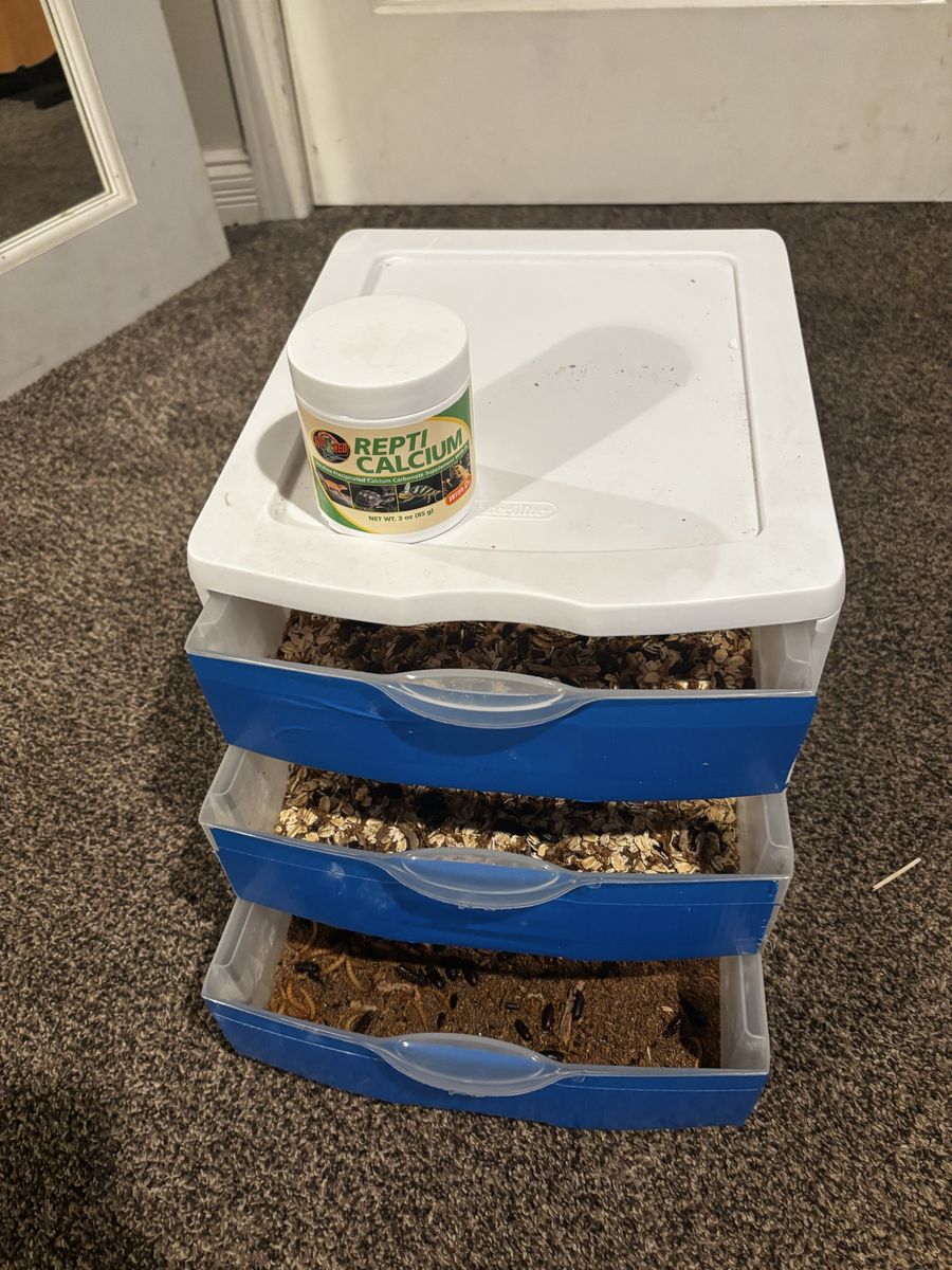 Mealworm farm