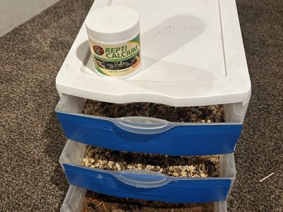 Mealworm farm