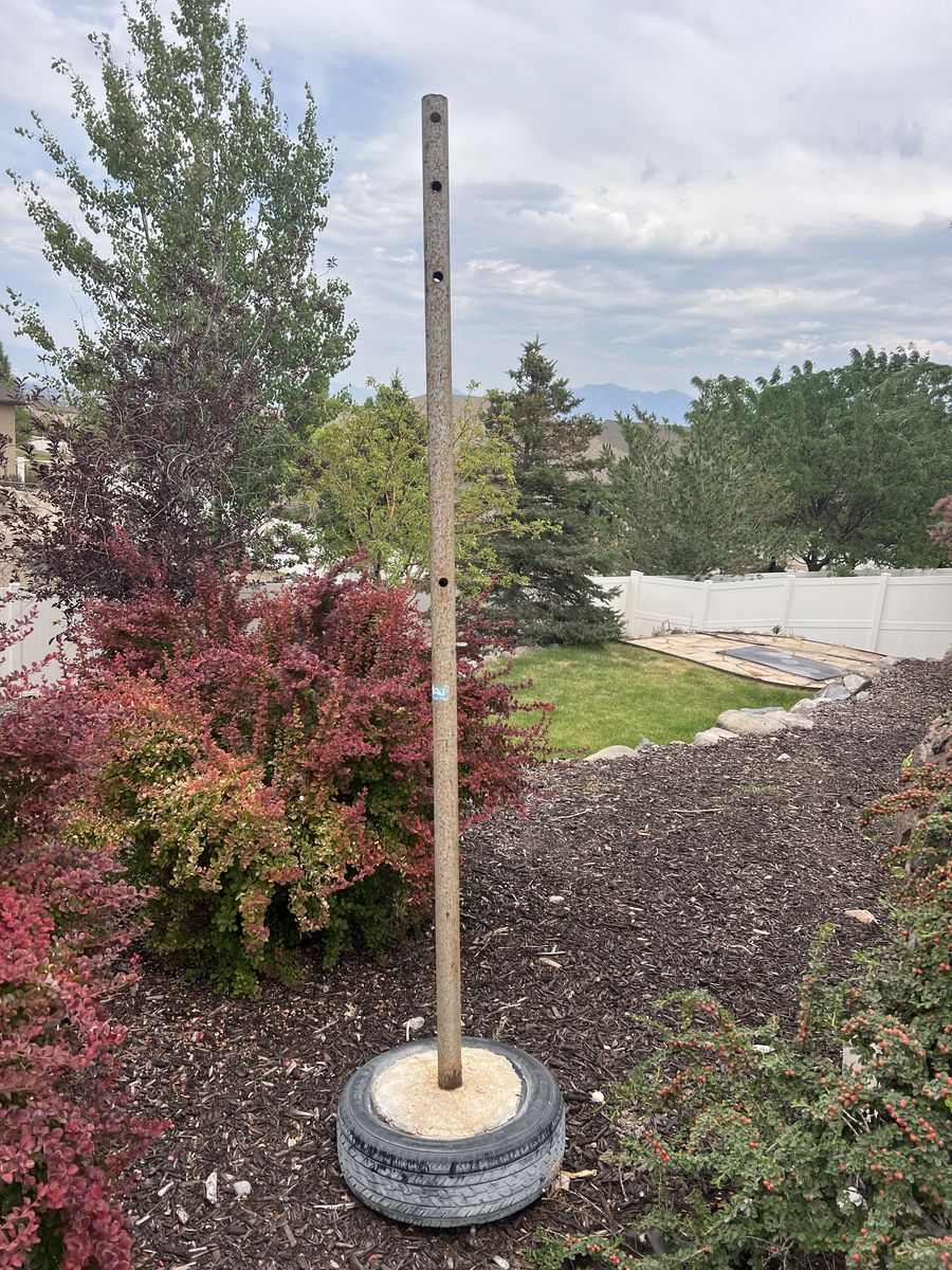 Main image 5