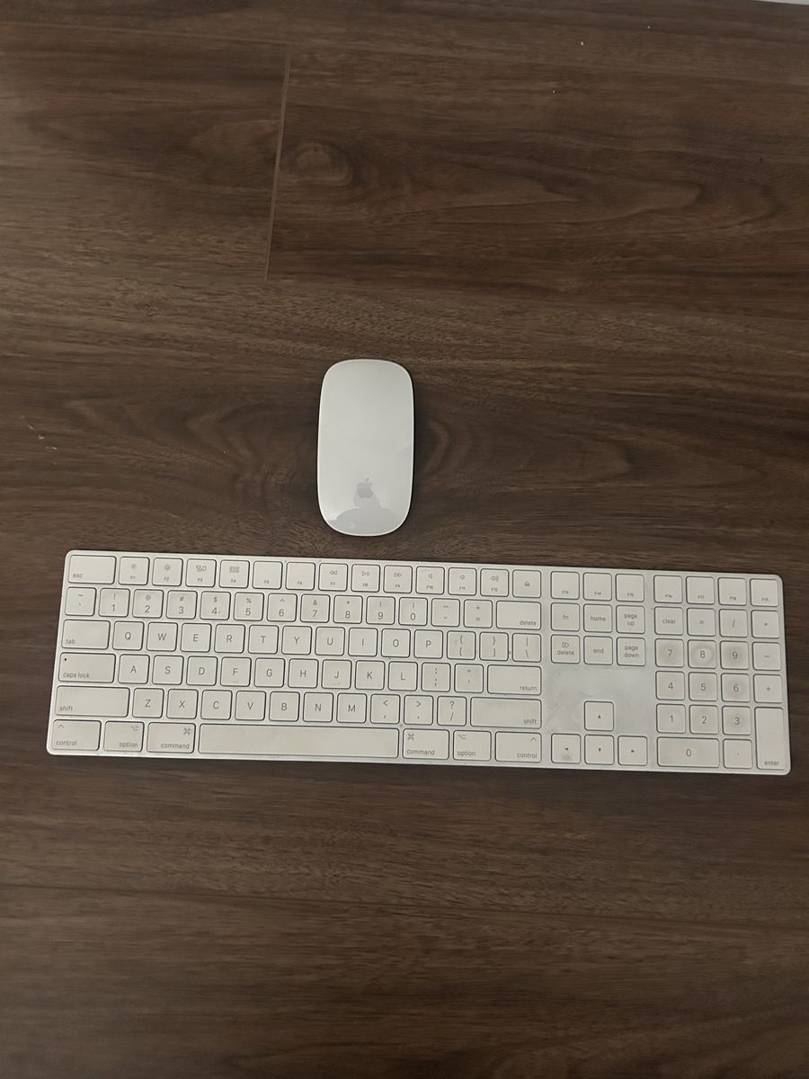 Apple Magic Mouse and Magic Keyboard
