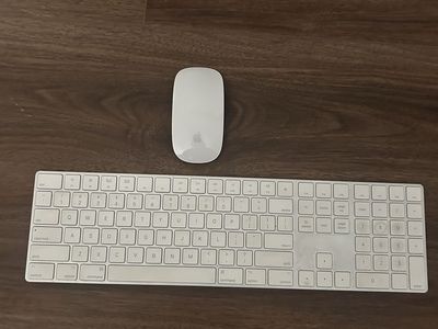 Apple Magic Mouse and Magic Keyboard