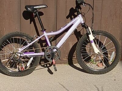 2017 DB Lustre 20" girls bike
