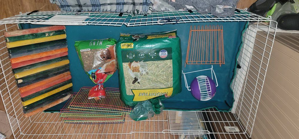 Small Animal, Guinea Pig, Bunny, Hamster cage, food, playpen, bridge