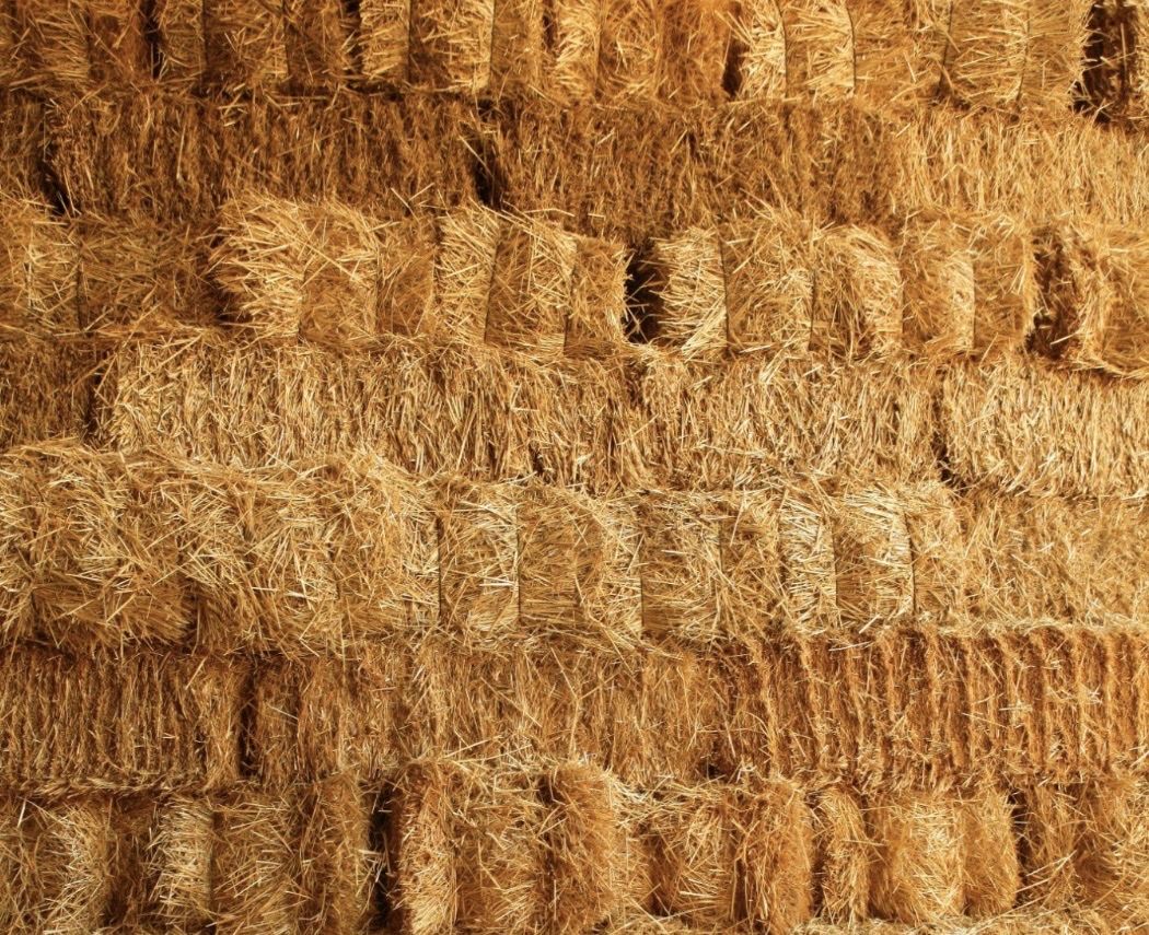 Wheat Straw - Small square bales
