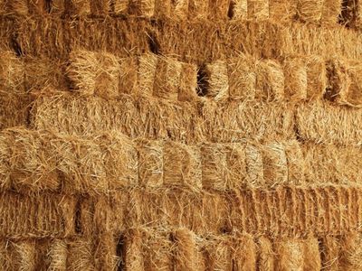 Wheat Straw - Small square bales