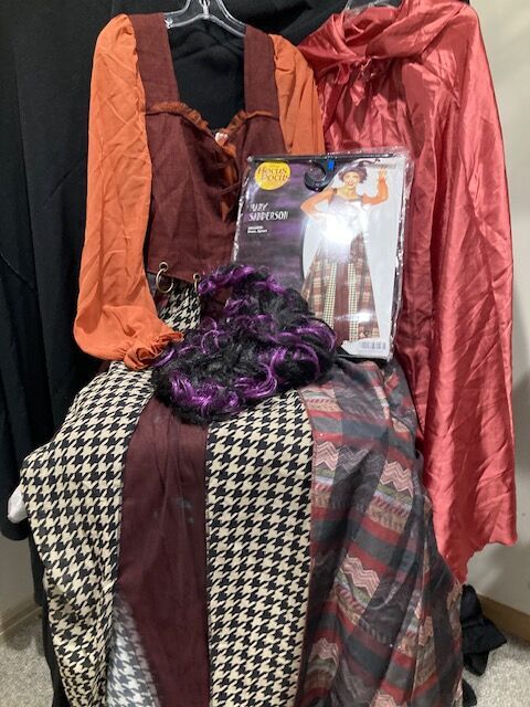 Hocus Pocus MARY SANDERSON w/wig and cape     $50