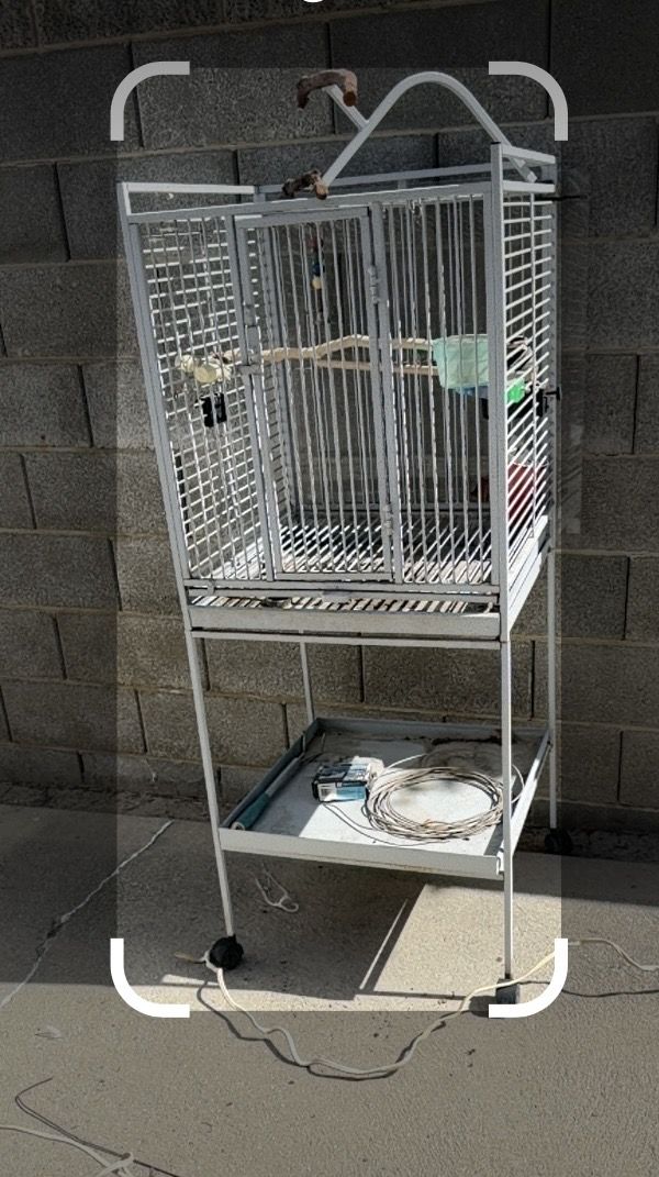 Bird cage