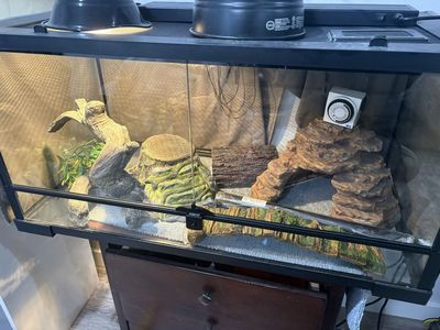 Reptile Terrarium Habitat Setup with Accessories & Supplies