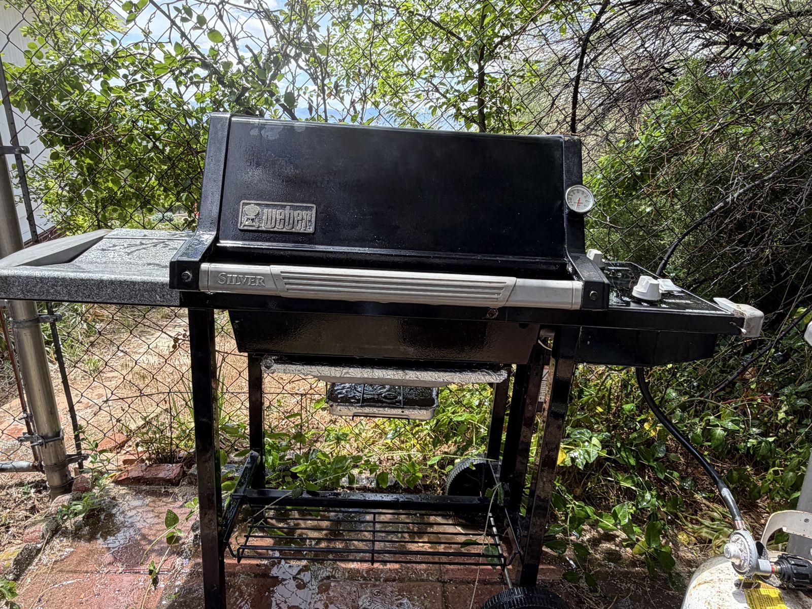 Weber grill