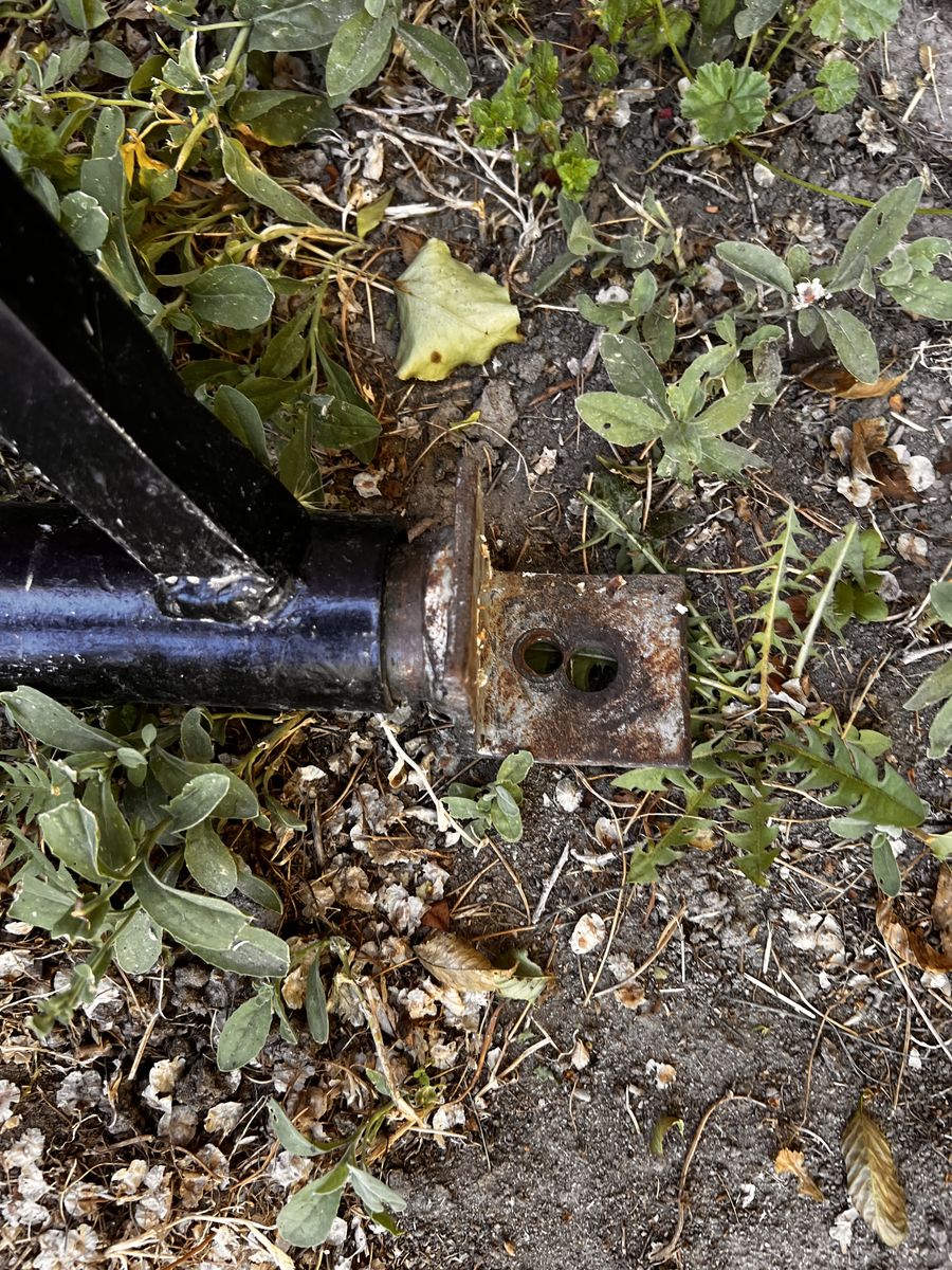 Main image 6