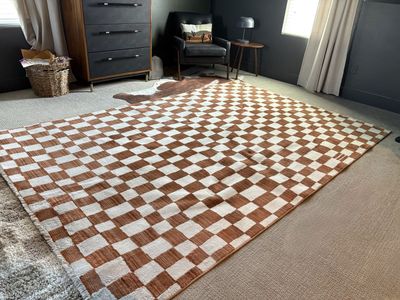 6' 7" x 10' 2" checkered area rug