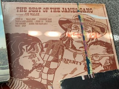 Vinyl Record Best of James Gang