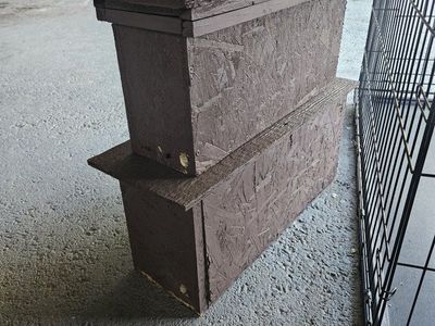honey bee swim traps