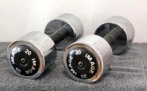 Two 20 lb Chrome Dumbbells