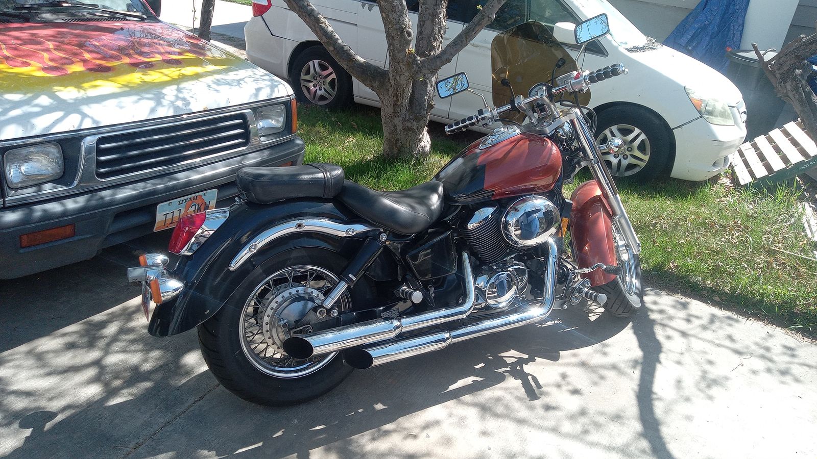 Honda shadow ace