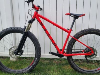 Marin mountain bike
